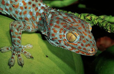 ������ � ������ ��������� �������