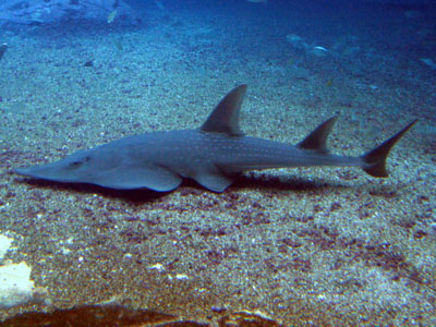 �������� ���� � ��������� ���� � ����������� ������