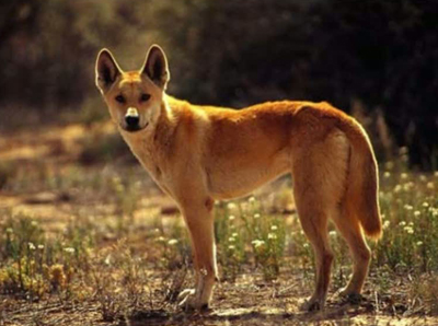 ����� � ������������� ������������� ��� �����