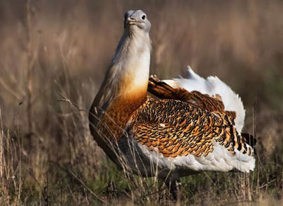 ����� � ����� ��� ���� ������?