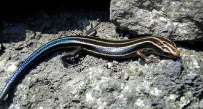 ��������������� �����