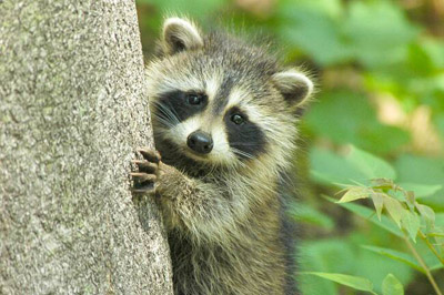 ���� � � ������ ��� ����