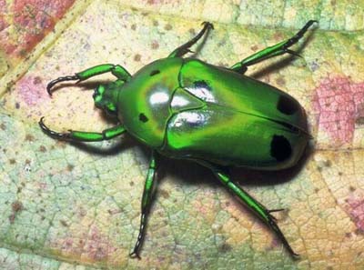 ���� � ����� ������������� �� �������