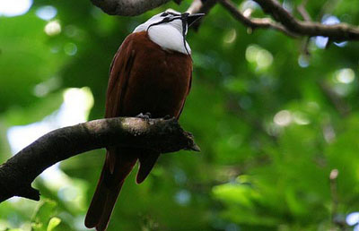 ������� � ����������� �����������