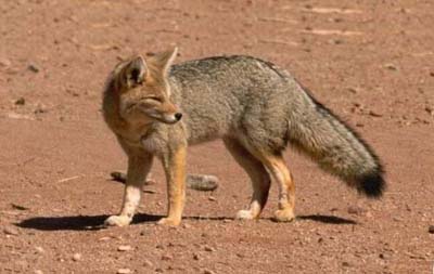 ����� � �������� ������