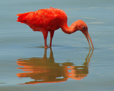 ���� � �� ������� ����� �� ������