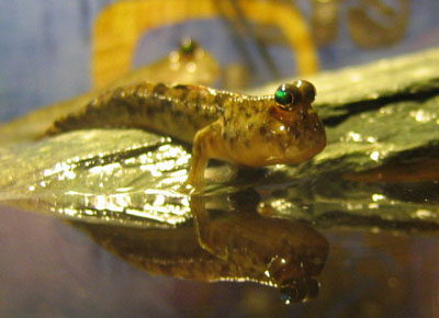 ������� ������ � � ���� ��� �� ����