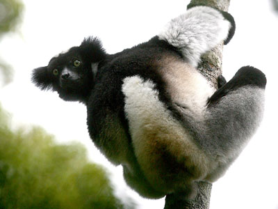 ����� � ���������� ���������� �����